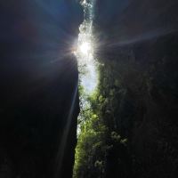 評論圖片 4