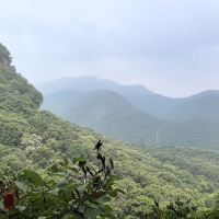 評論圖片 3