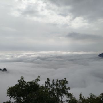 評論圖片 6
