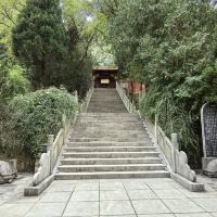 評論圖片 6