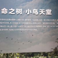 評論圖片 6