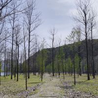 評論圖片 5