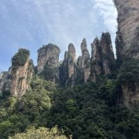 評論圖片 5