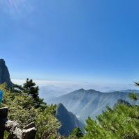 評論圖片 5