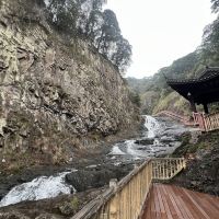 評論圖片 4