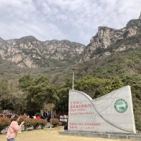 評論圖片 1