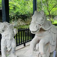 評論圖片 1