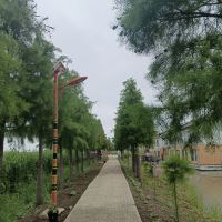評論圖片 5