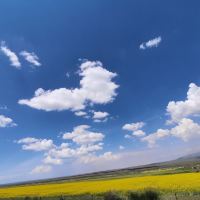 評論圖片 1