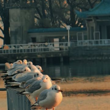 評論圖片 6