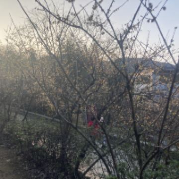 評論圖片 1