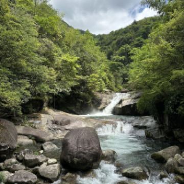 評論圖片 3