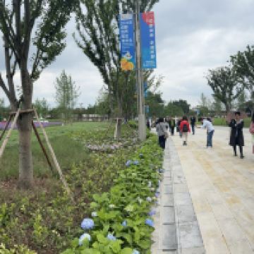評論圖片 3