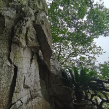 評論圖片 3
