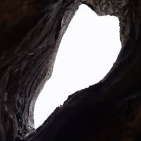 評論圖片 3