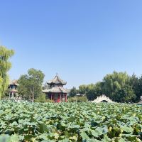 評論圖片 1