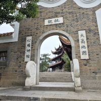 評論圖片 1