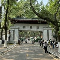 評論圖片 4