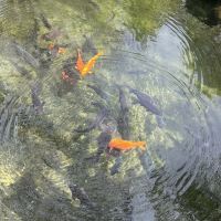 評論圖片 4