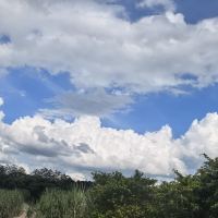 評論圖片 2