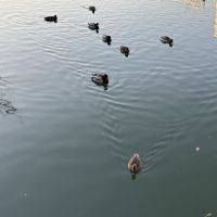 評論圖片 4