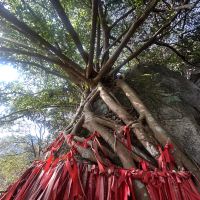 評論圖片 1