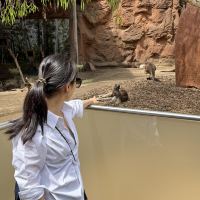 評論圖片 4