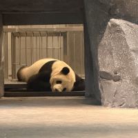 評論圖片 5