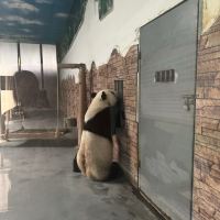評論圖片 4