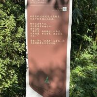 評論圖片 3