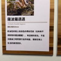 評論圖片 4