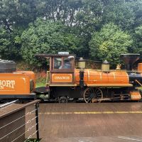 評論圖片 1