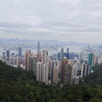 評論圖片 2