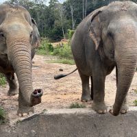 評論圖片 2