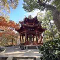 評論圖片 4