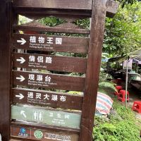 評論圖片 3