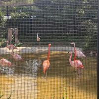 評論圖片 1