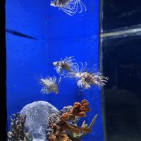 評論圖片 6