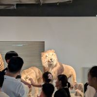 評論圖片 3