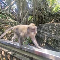 評論圖片 5