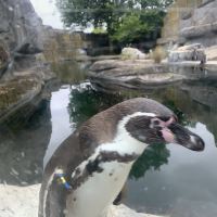 評論圖片 4