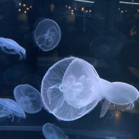 評論圖片 4