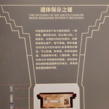評論圖片 8