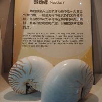 評論圖片 6