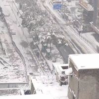 評論圖片 9