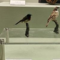 評論圖片 3