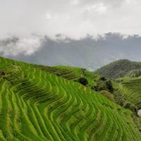 評論圖片 6