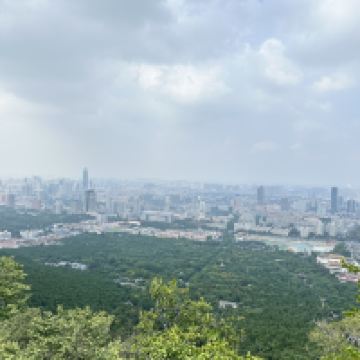 評論圖片 5