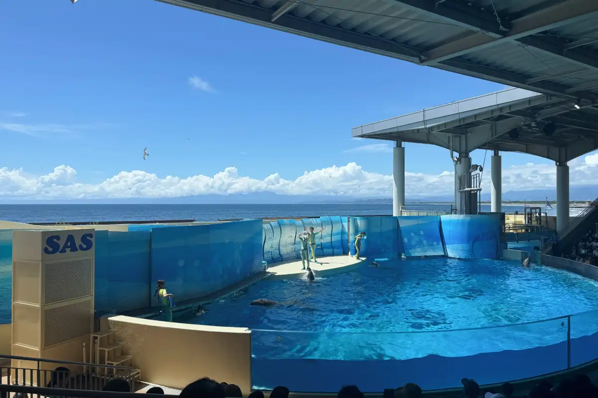 Dolphin Show Arena at Enoshima Aquarium