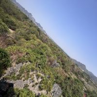 評論圖片 4